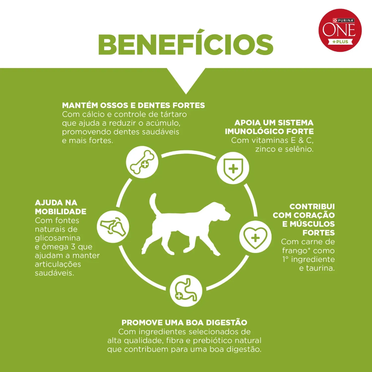 Racao-Purina-One-Plus-Nutricao-Proativa-Caes-Adultos-Frango-6