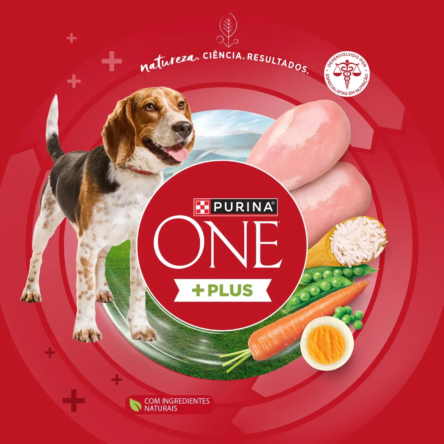 Racao-Purina-One-Plus-Nutricao-Proativa-Caes-Adultos-Frango-7