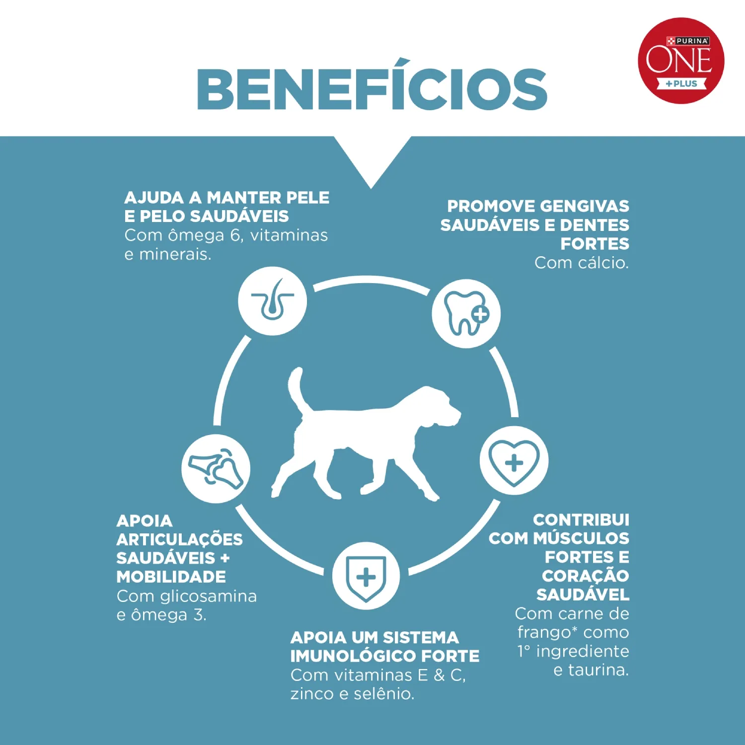 Racao-Purina-One-Plus-Articulacoes-Saudaveis-Caes-Adultos-Frango-6