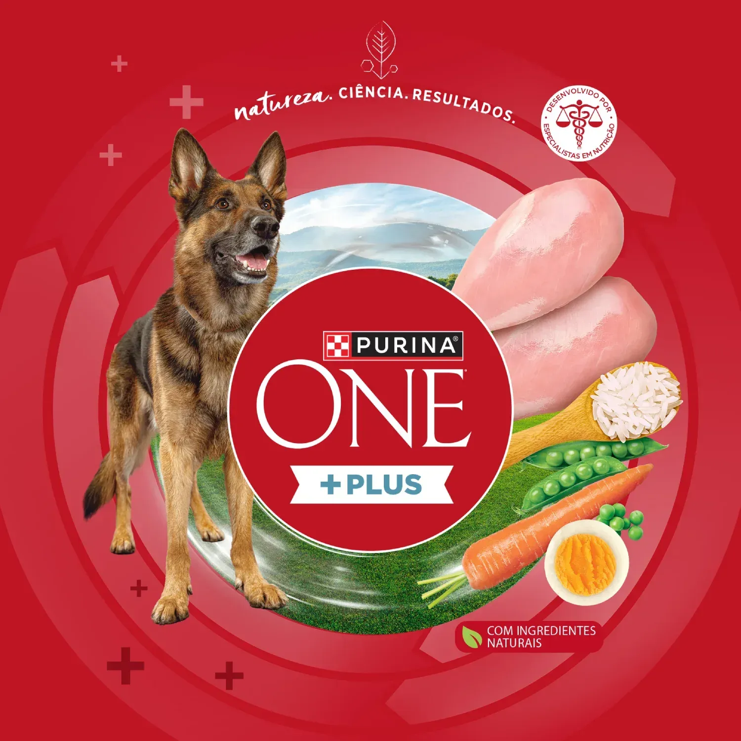 Racao-Purina-One-Plus-Articulacoes-Saudaveis-Caes-Adultos-Frango8