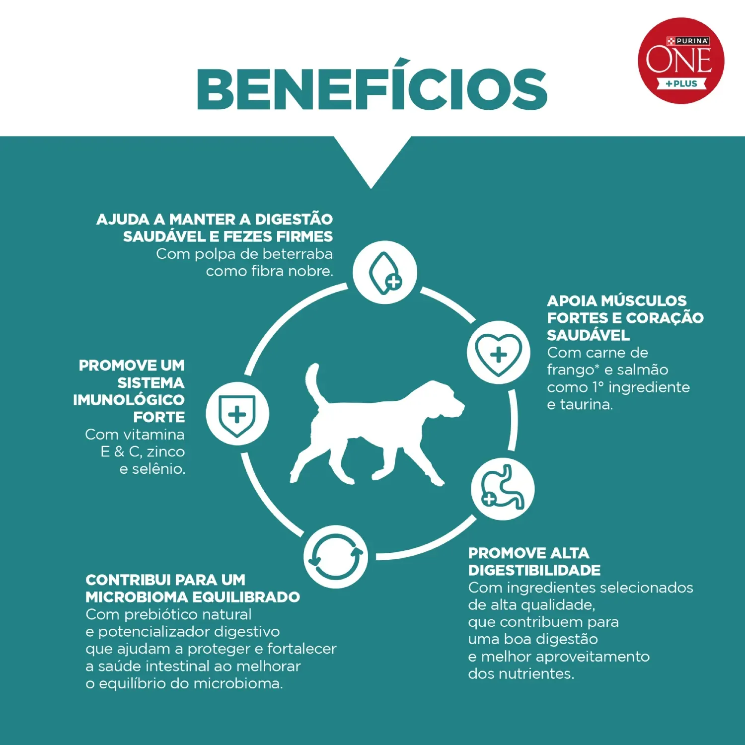 Racao-Purina-One-Plus-Digestao-Saudavel-Caes-Adultos-Frango-e-Salmao-6