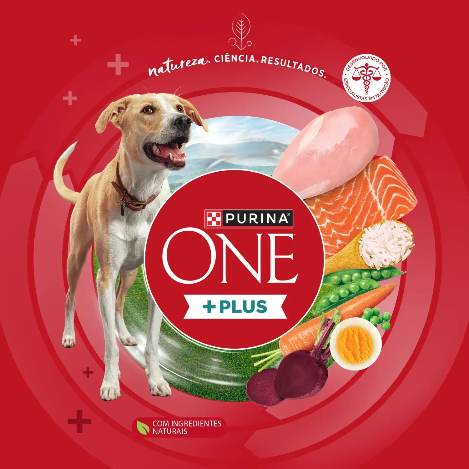 Racao-Purina-One-Plus-Digestao-Saudavel-Caes-Adultos-Frango-e-Salmao-8