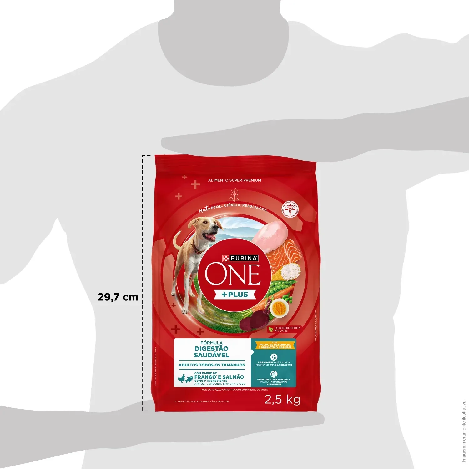 Racao-Purina-One-Plus-Digestao-Saudavel-Caes-Adultos-Frango-e-Salmao-9