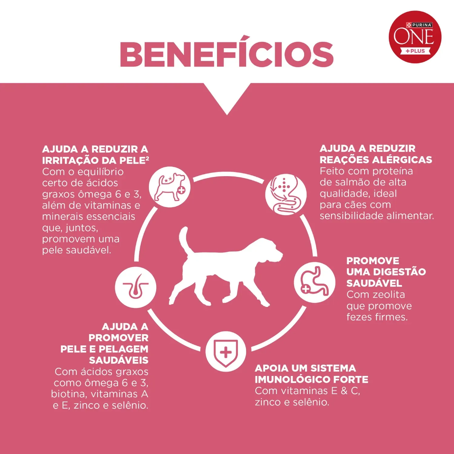 Racao-Purina-One-Plus-Hipoalergenico-Caes-Adultos-Salmao-5