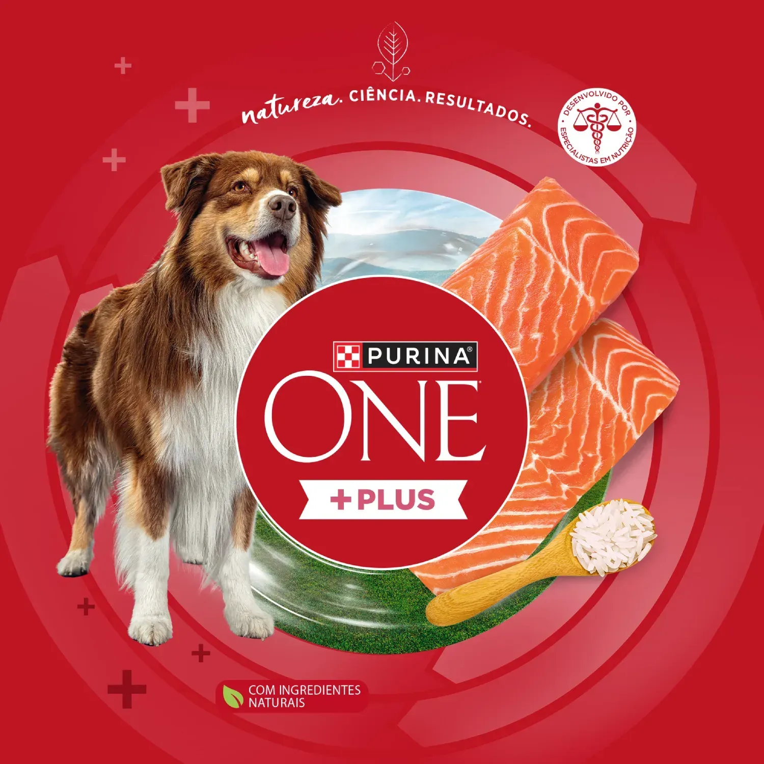 Racao-Purina-One-Plus-Hipoalergenico-Caes-Adultos-Salmao-6