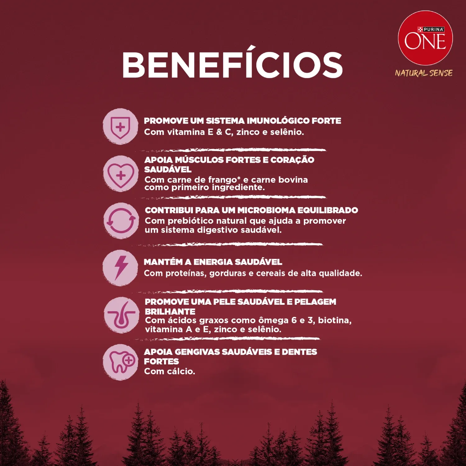 Racao-Purina-One-Natural-Sense-Caes-Adultos-Minis-e-Pequenos-Frango-e-Salmao-5