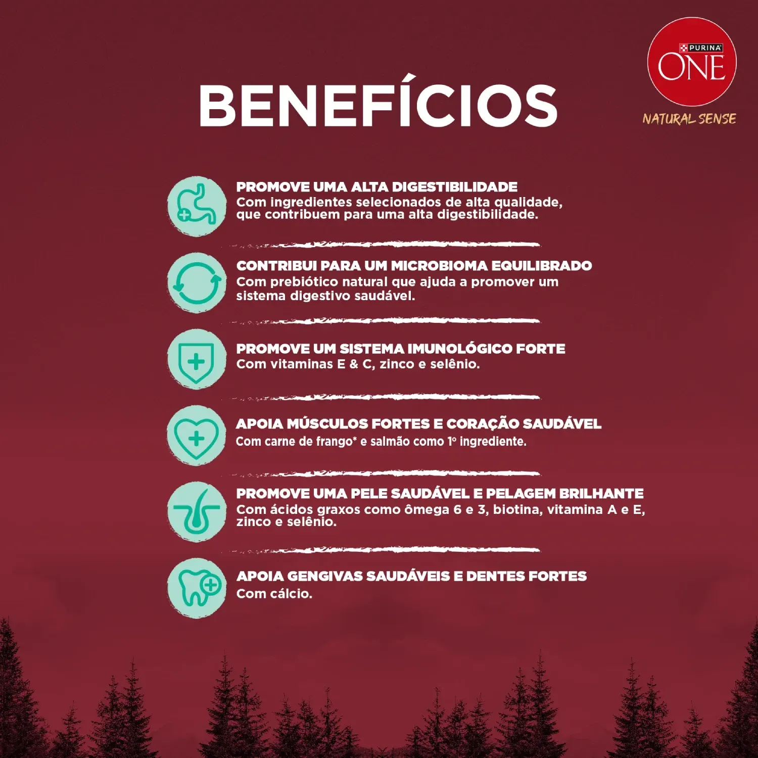 Racao-Purina-One-Natural-Sense-Caes-Adultos-Medios-e-Grandes-Frango-e-Salmao-7