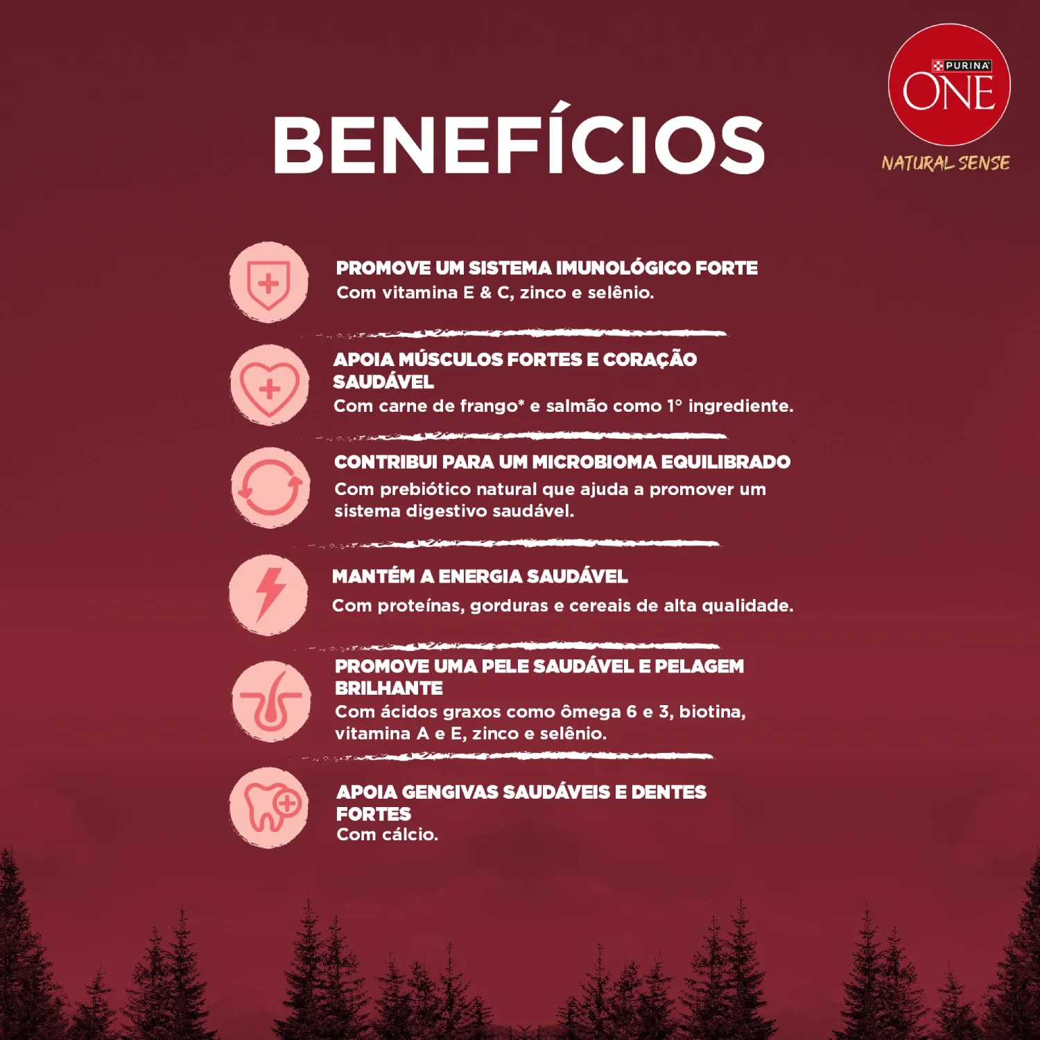 racao-purina-one-natural-sense-caes-adultos-minis-e-pequenos-frango-e-carne.-7