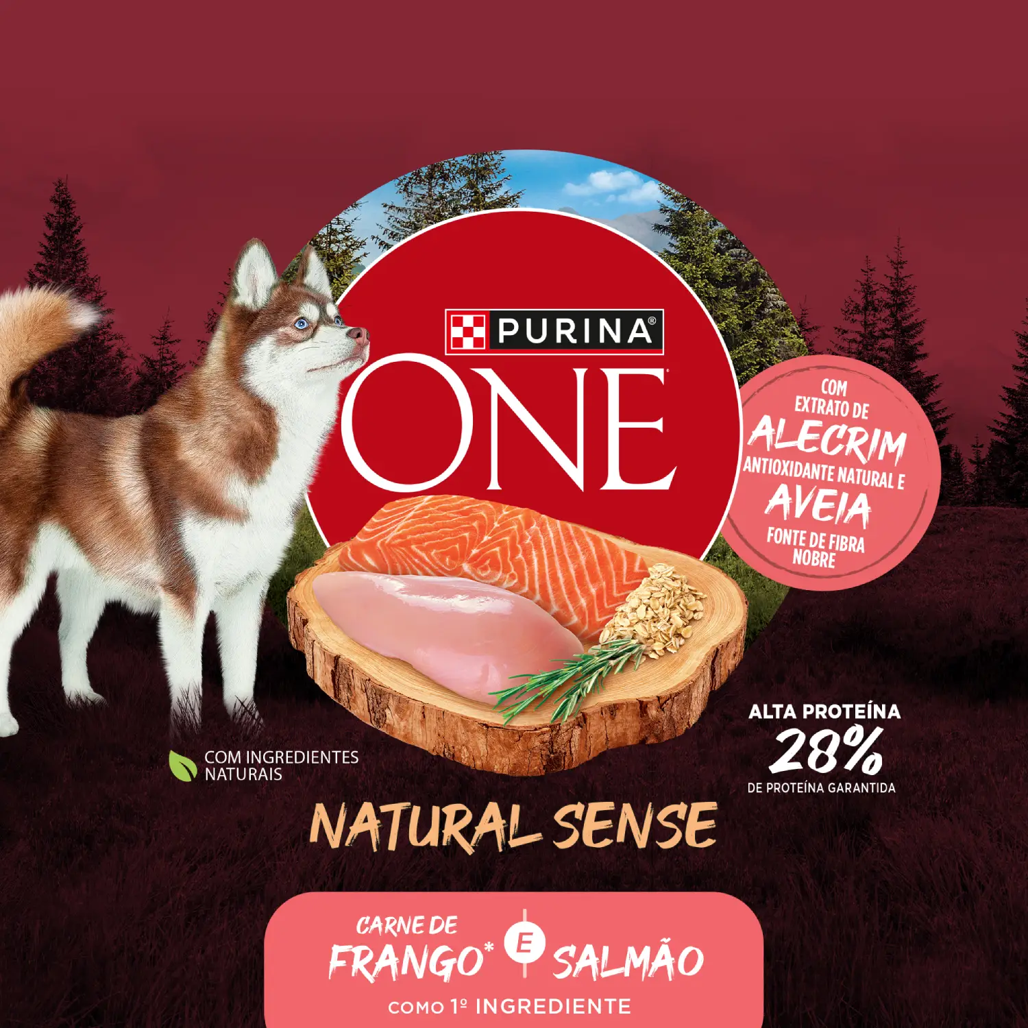 racao-purina-one-natural-sense-caes-adultos-minis-e-pequenos-frango-e-carne.-6
