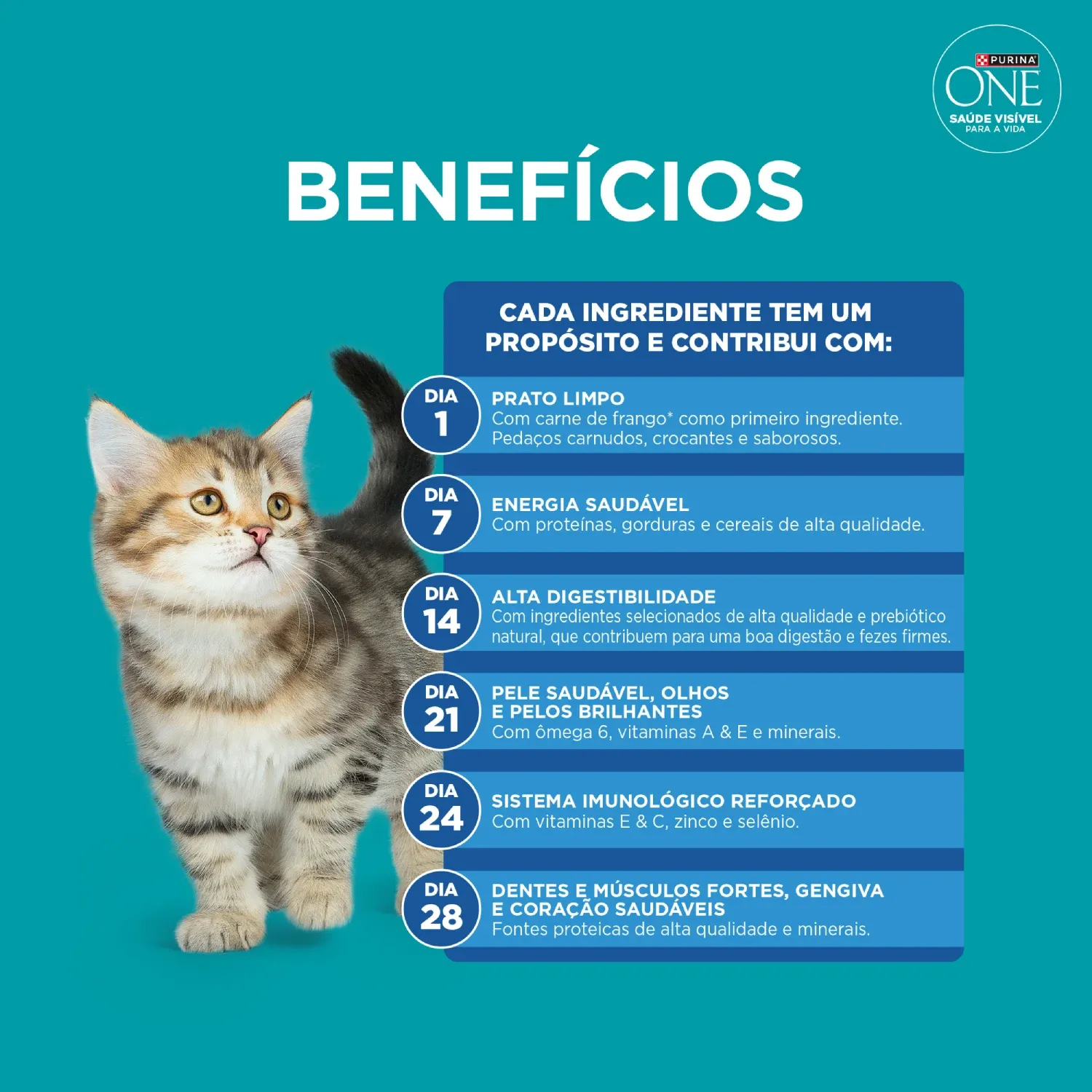 racao-purina-one-microbioma-equilibrado-gatos-filhotes-frango-7