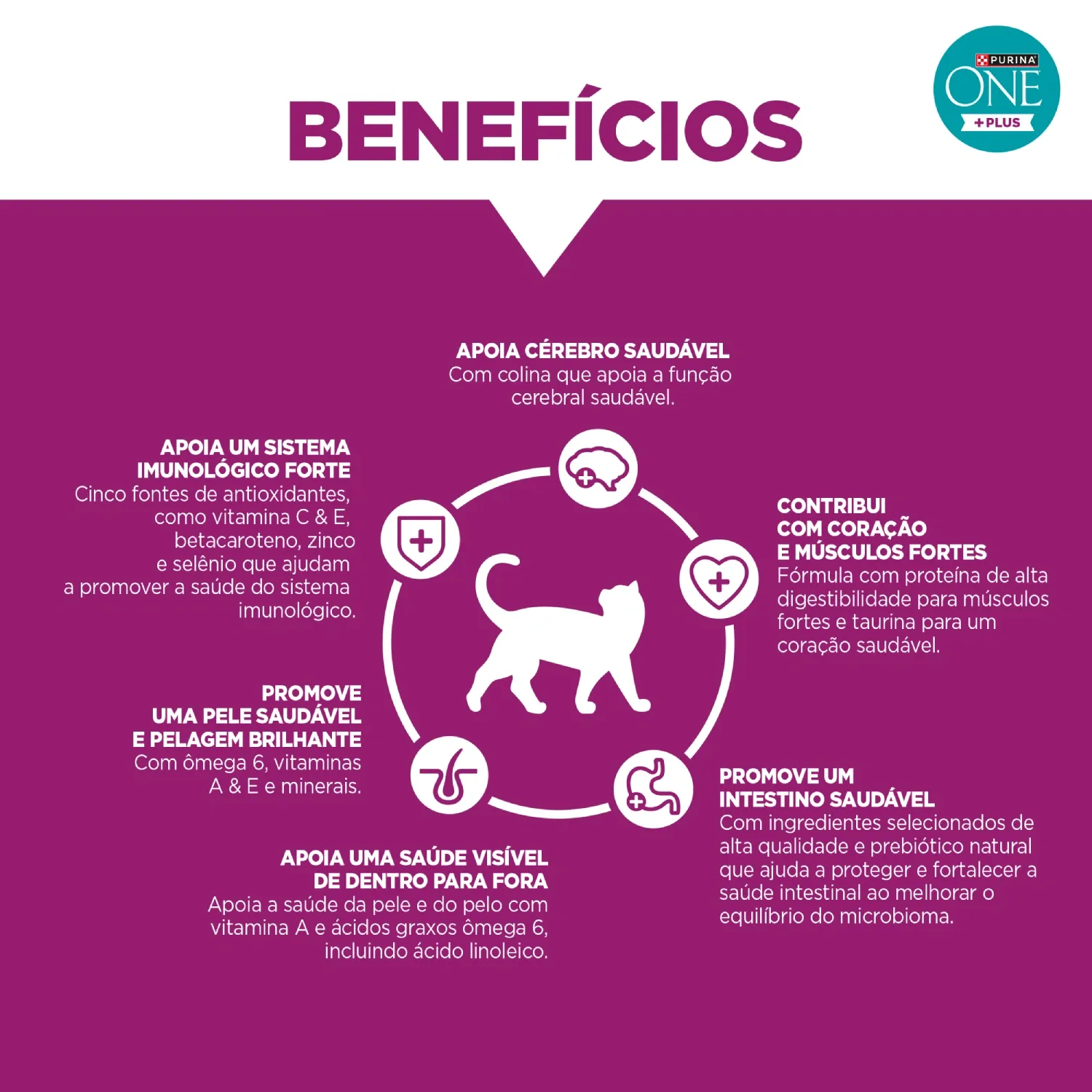 racao-purina-one-plus-nutricao-proativa-gatos-adultos-castrados-frango-7