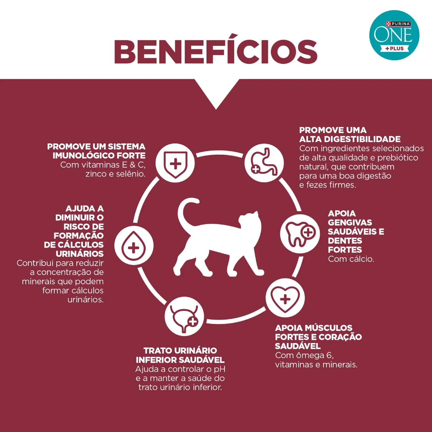 racao-purina-one-plus-trato-urinario-saudavel-gatos-adultos-castrados-frango-e-salmao-7