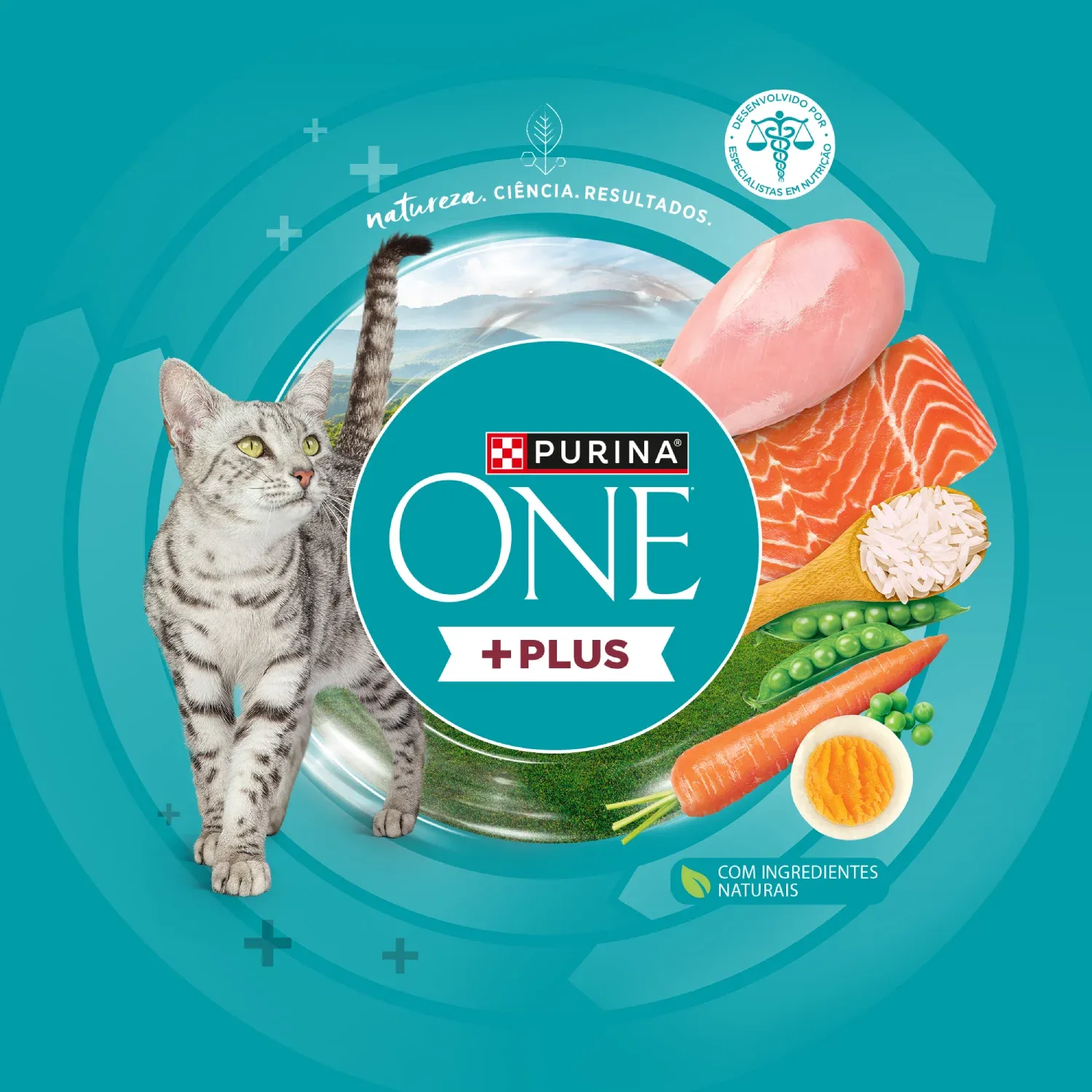 racao-purina-one-plus-trato-urinario-saudavel-gatos-adultos-castrados-frango-e-salmao-9