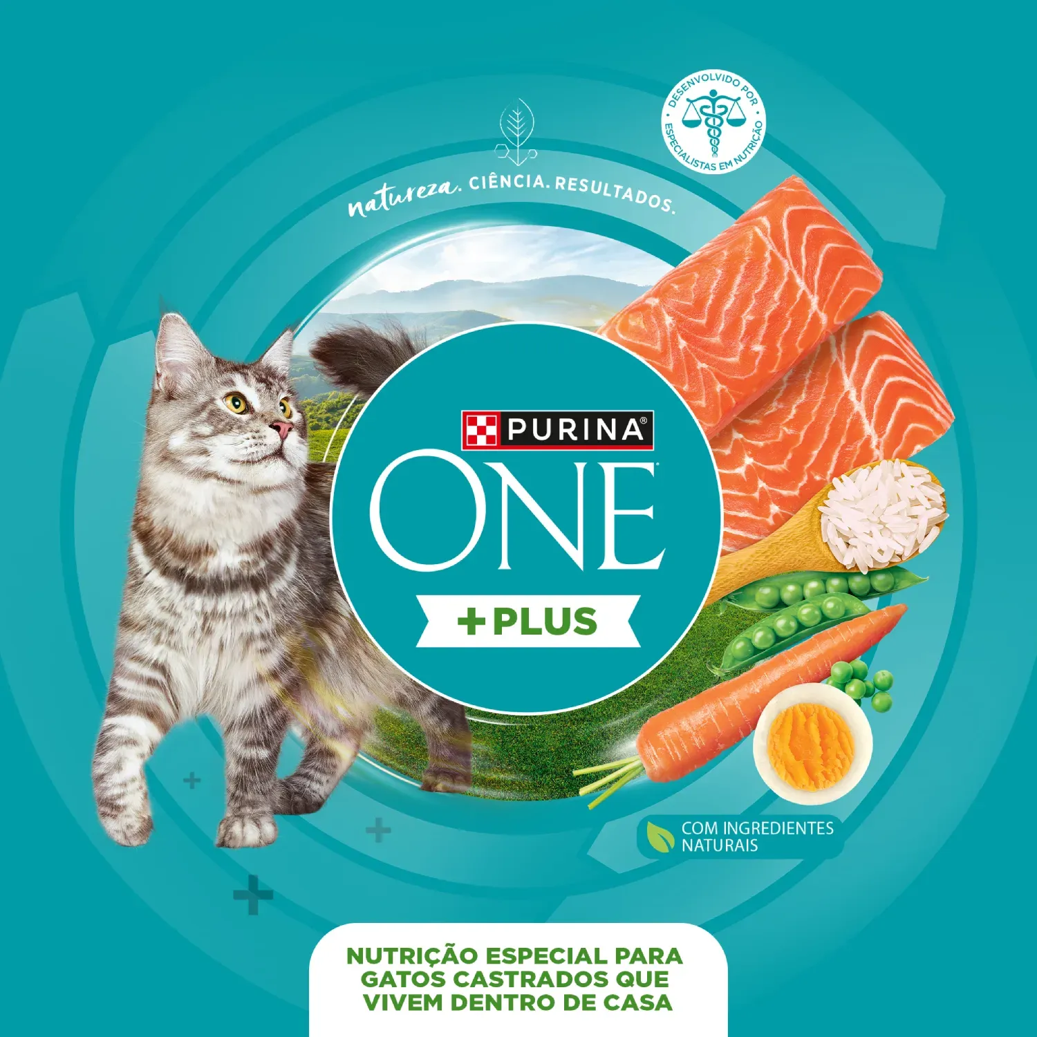 racao-purina-one-plus-sistema-indoor-gatos-adultos-castrados-salmao-9