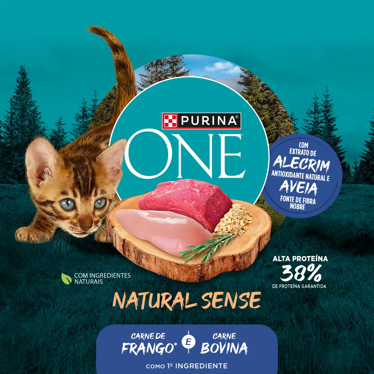 racao-purina-one-natural-sense-gatos-filhotes-frango-e-carne-8