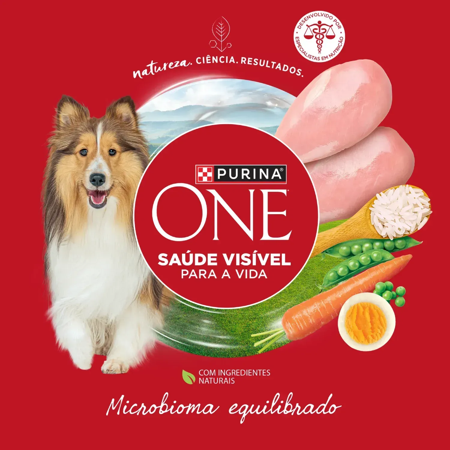 Racao-Purina-One-Microbioma-equilibrado-Caes-Adultos-Medios-e-Grandes-Frango-8