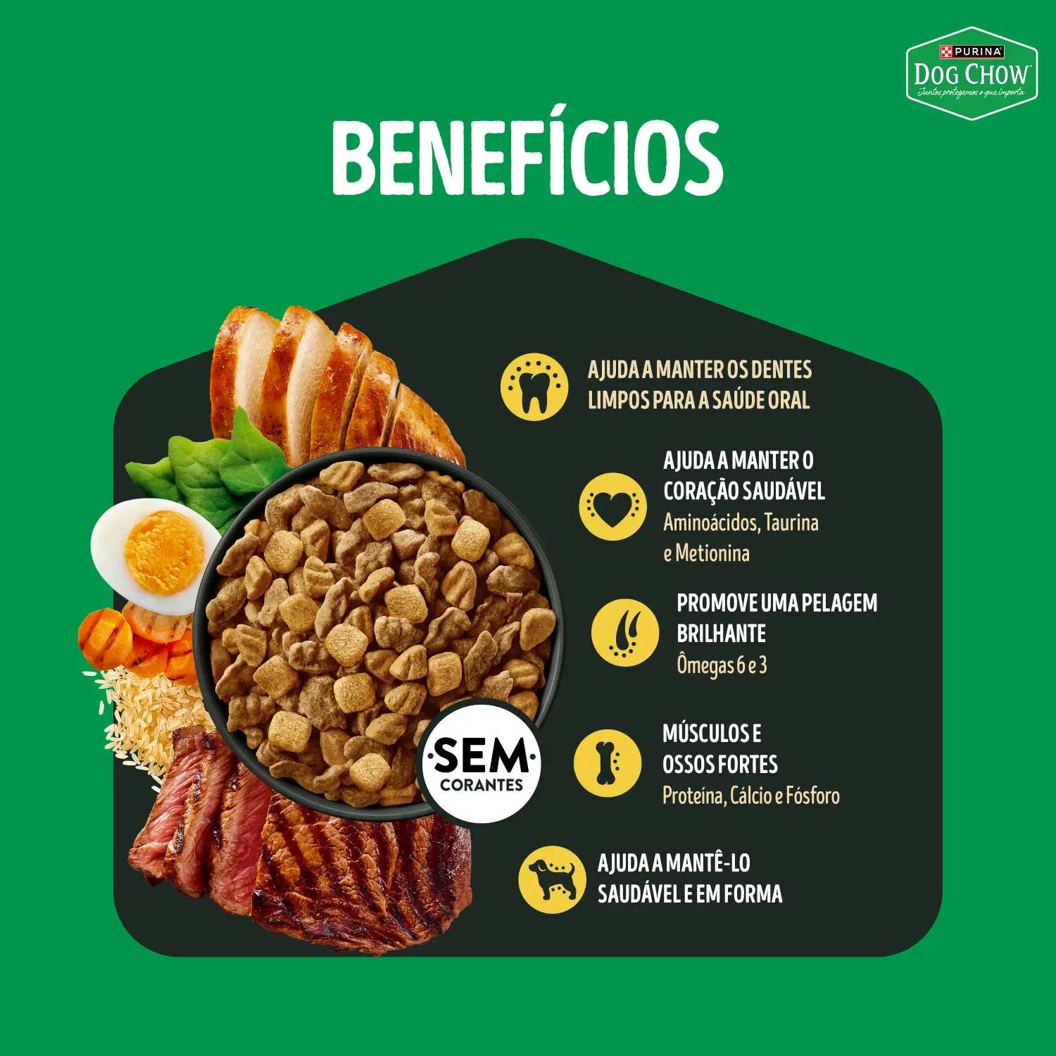 racao-dog-chow-alta-proteina-para-caes-adultos-carne-frango-e-ovo-Beneficios