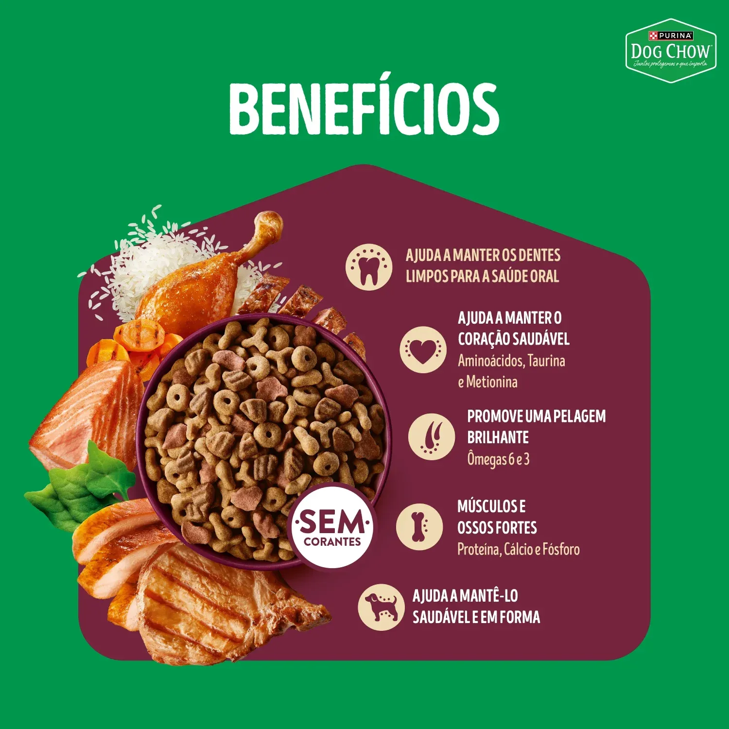 racao-dog-chow-multiproteina-caes-adultos-900g-Beneficios
