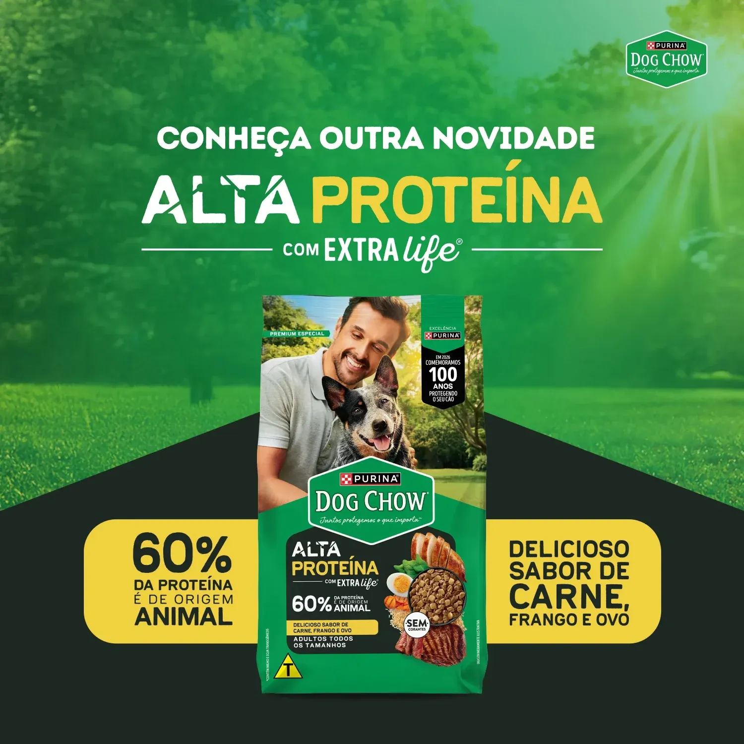 racao-dog-chow-multiproteina-caes-adultos-900g-proteina