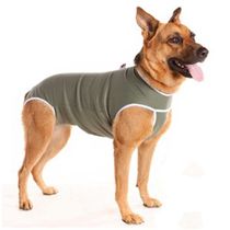 Roupa-Pos-Cirurgica-Punho-Verde-Caes-Pet-Med--3-
