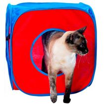 Kubo-gato-Azul-2