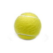 Brinquedo Cat Toy Nip Tennis Balls LCM