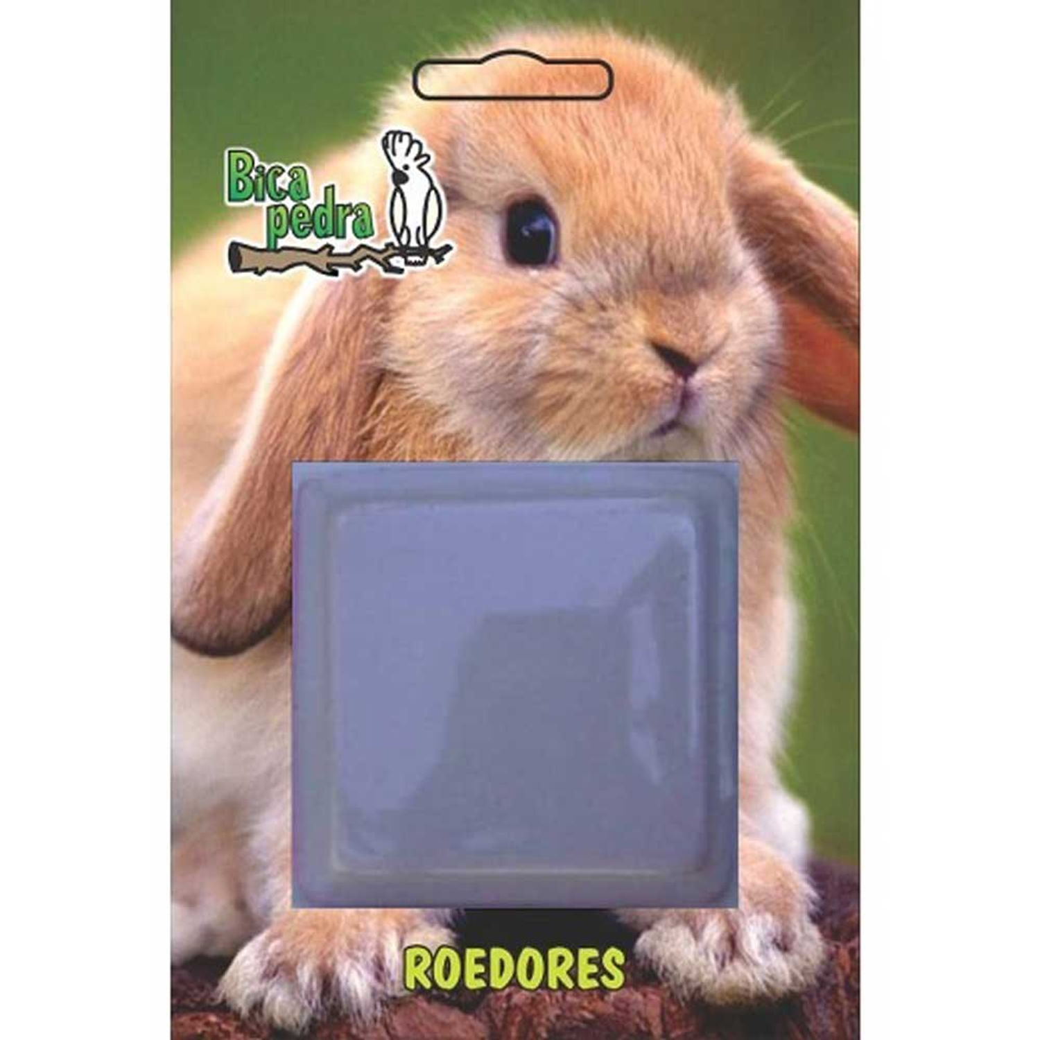 Bica Pedra Roedores Kakatoo