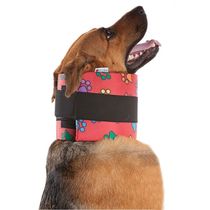 Colar-Cervical-Color-Pet-Med