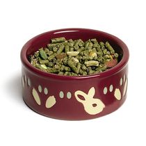 Comedouro-Ceramico-para-Coelho