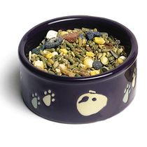 Comedouro-Ceramico-Porquinho-da-India