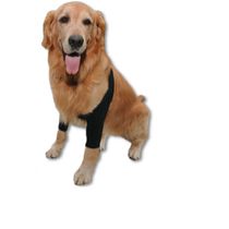 Cotoveleira-Ortopedica-Vestdog