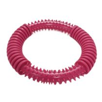 Brinquedo-Argola-com-Cravos-Art-Injet--2-
