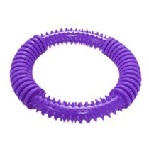 Brinquedo-Argola-com-Cravos-Roxa-Art-Injet