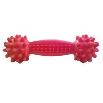 Brinquedo-Halteres-Antitartaro-com-Cravos-Rosa