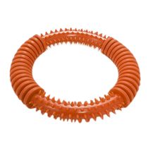 Brinquedo-Argola-com-Cravos-Laranja-Art-Injet