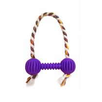 Brinquedo-Halteres-Vazado-com-Corda-Roxo-Art-Injet