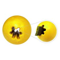 Bola-Adest-Amarela-60mm