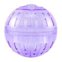 Globo-Play-Ball-Roxo-Mr-Pet