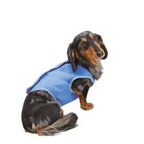 Colete-Gelado-Medio-Cachorro