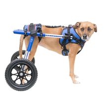 Cadeira-de-Rodas-Walkin--Wheels-Caes-de-9kg-a-31kg_