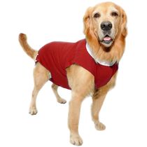 Roupa-Pos-Cirurgica-Vermelha-Vestdog-Light--pp