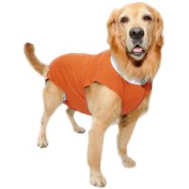 Roupa-Pos-Cirurgica-Laranja-Vestdog-Light