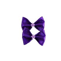 Enfeite-Lacinho-Bichinho-Chic-Roxo
