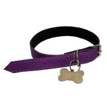 Coleira-Canada-para-Caes-Lilas-AMF