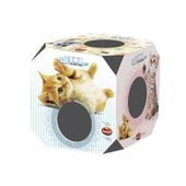 Cat-Box-Filhote-Furacao-Pet