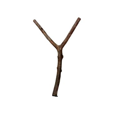 Poleiro Natural Kakatoo 50cm