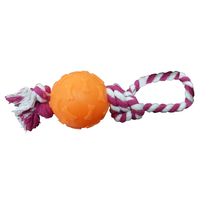 Bola-Ossinho-Laranja