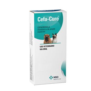 Antibiótico Cefa-Cure Cães e Gatos MSD