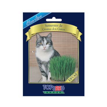 Sementes-de-Grama-dos-Gatos-Topseed-Garden