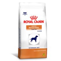 Royal canin chat gastro intestinal